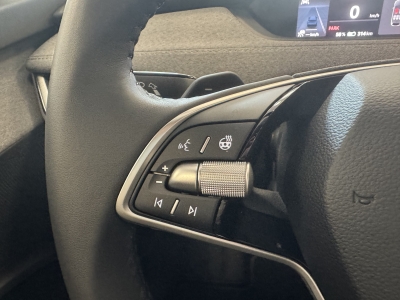 Skoda Enyaq 85 Loft*ACC*LED*R-Cam*Canton*4xSHZ*Memory*