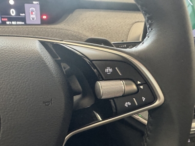 Skoda Enyaq 85 Loft*ACC*LED*R-Cam*Canton*4xSHZ*Memory*