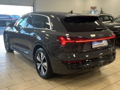 Audi Q8 e-tron 50 quattro*LED*R-Cam*AHK*ACC*DAB*Navi*