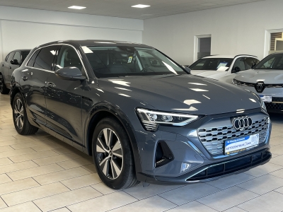 Audi Q8 e-tron 50 quattro*LED*R-Cam*AHK*ACC*DAB*Navi*