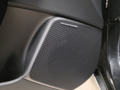 Kia Soul Inspiration*HUD*S-Dach*Leder*R-Cam*4xSHZ