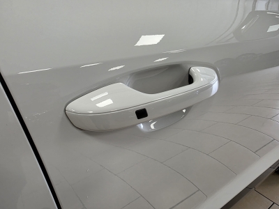 Kia Niro e-Niro Vision*TeiLeder*Navi*CarPlay*R-Cam*PDC*