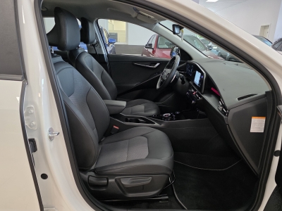 Kia Niro e-Niro Vision*TeiLeder*Navi*CarPlay*R-Cam*PDC*