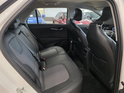 Kia Niro e-Niro Vision*TeiLeder*Navi*CarPlay*R-Cam*PDC*