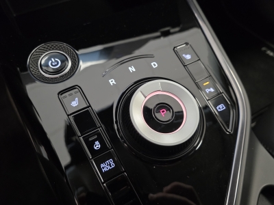 Kia Niro e-Niro Vision*TeiLeder*Navi*CarPlay*R-Cam*PDC*