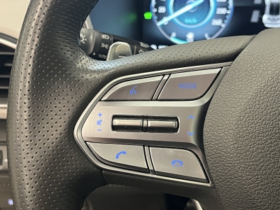 Hyundai SANTA FE Signature 4WD*Pano*HUD*360°Cam*4xSHZ*1H