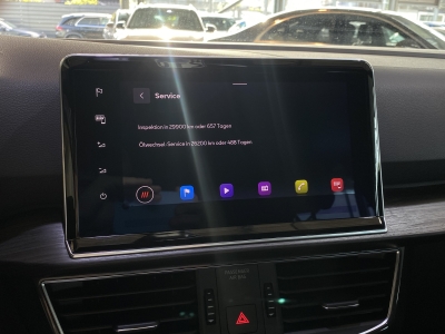 Seat Tarraco Xcellence 4Drive*AHK*Beats*ACC*R-Cam*SHZ