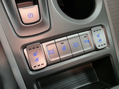 Hyundai Kona Elektro Premium*HeadUp*ACC*LED*NAVI*Leder*RCam*SHZ*