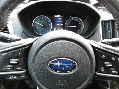 Subaru XV 2.0 e-Boxer 4 WD Comfort Aut.Nav LED ACC AHK