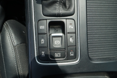 Kia Sorento 2.2 CRDi Platinum Edition 4WD Aut. EURO6