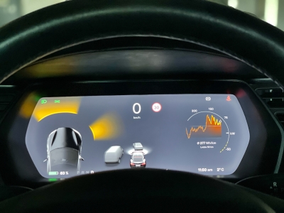 Tesla Model S *100D*DUAL MOTOR*ALLRAD*KALTWETTER*LUFT*