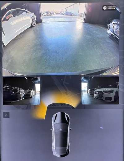 Tesla Model S *100D*DUAL MOTOR*ALLRAD*KALTWETTER*LUFT*