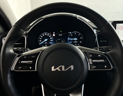 Kia XCeed PLATINUM EDITION*R.KAM*LED*4xSHZ*JBL SOUND