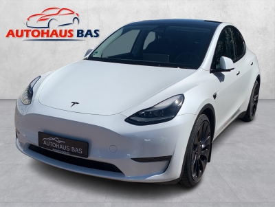 Tesla Model Y Performance* 1.Hand