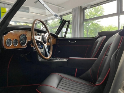 AUSTIN HEALEY ANDERE