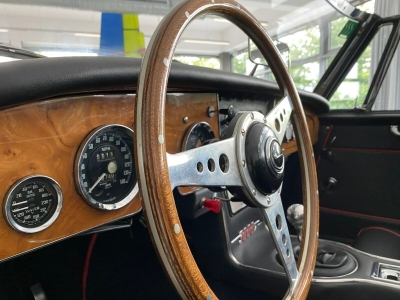 AUSTIN HEALEY ANDERE