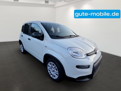 Fiat Panda Pandina Hybrid MY25 70PS 