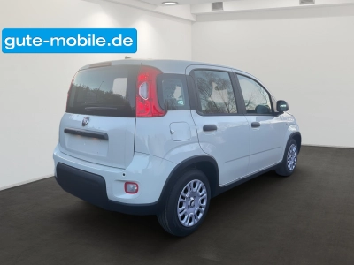 Fiat Panda Pandina Hybrid MY25 70PS 