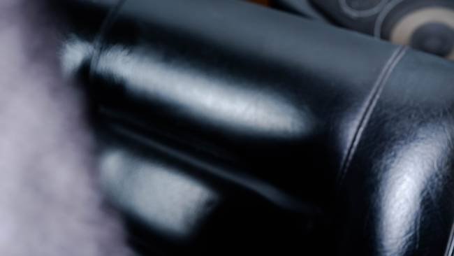 Volvo P1800 E *1. Hand*